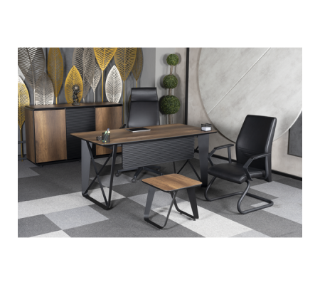 Alpi Ofis ve Büro Masa Takımı 160 cm Masalı